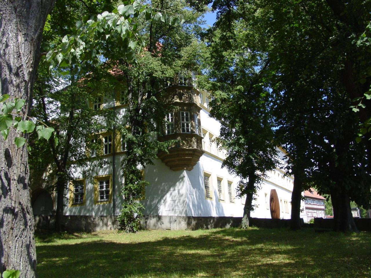 Schlosshotel Am Hainich Behringen  ภายนอก รูปภาพ
